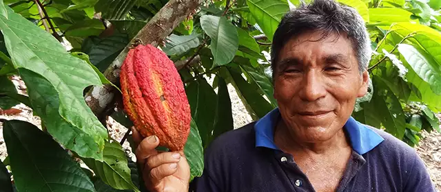 Imagen de Suizagua - Desarrollo productivo